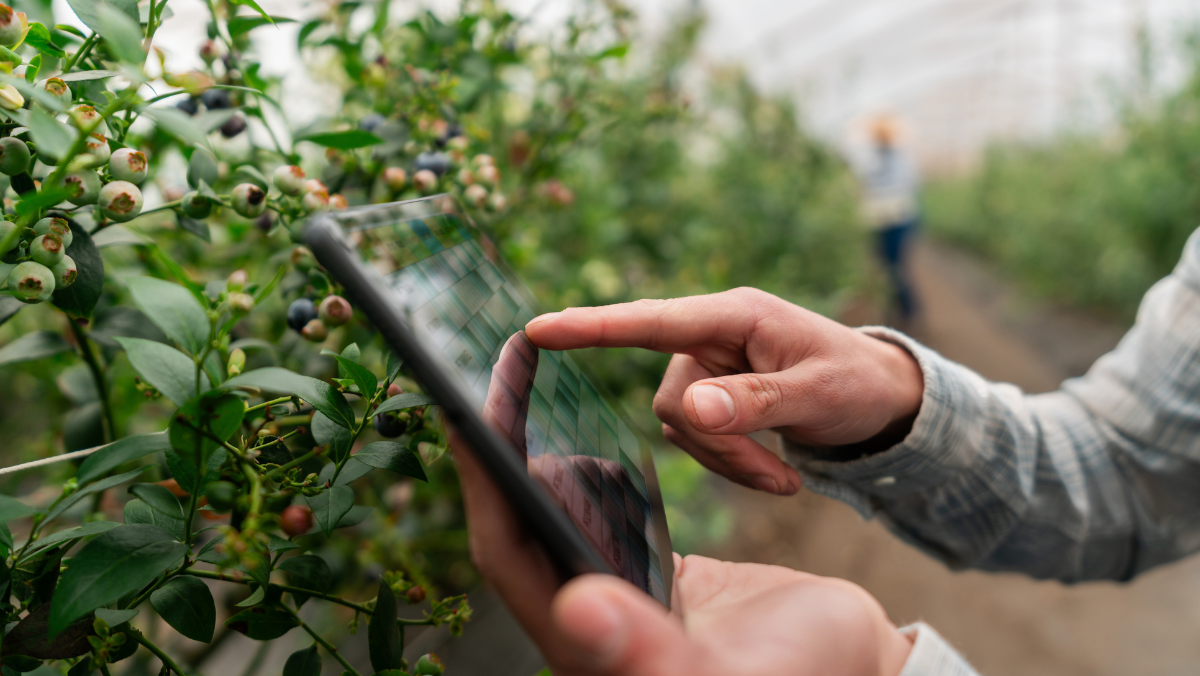 Deere Sets Its Sights on Farming From the Sky
