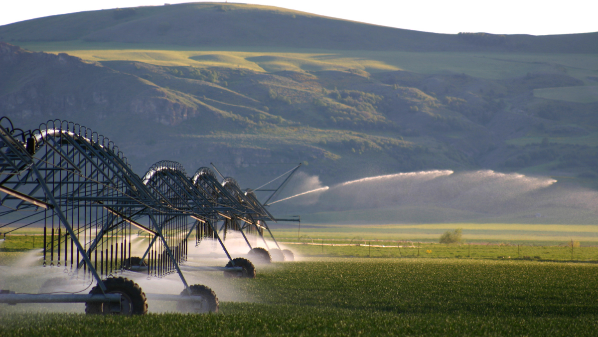 The AI Sprayer Turning Fields Into Data Zones